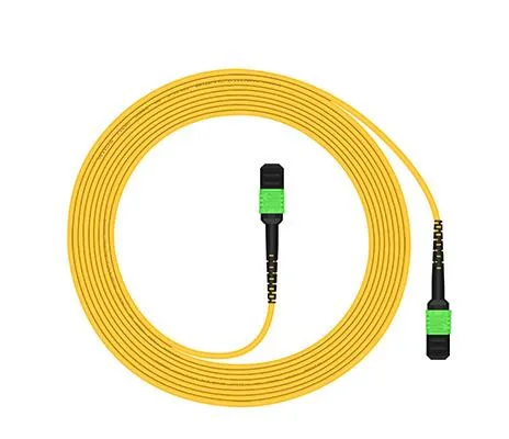 Multimode Fiber Jumper