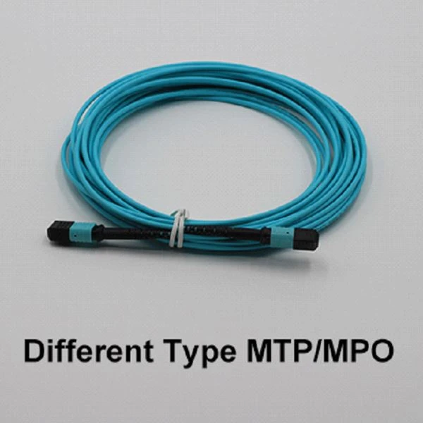 Eri tüüpi MTP/MPO